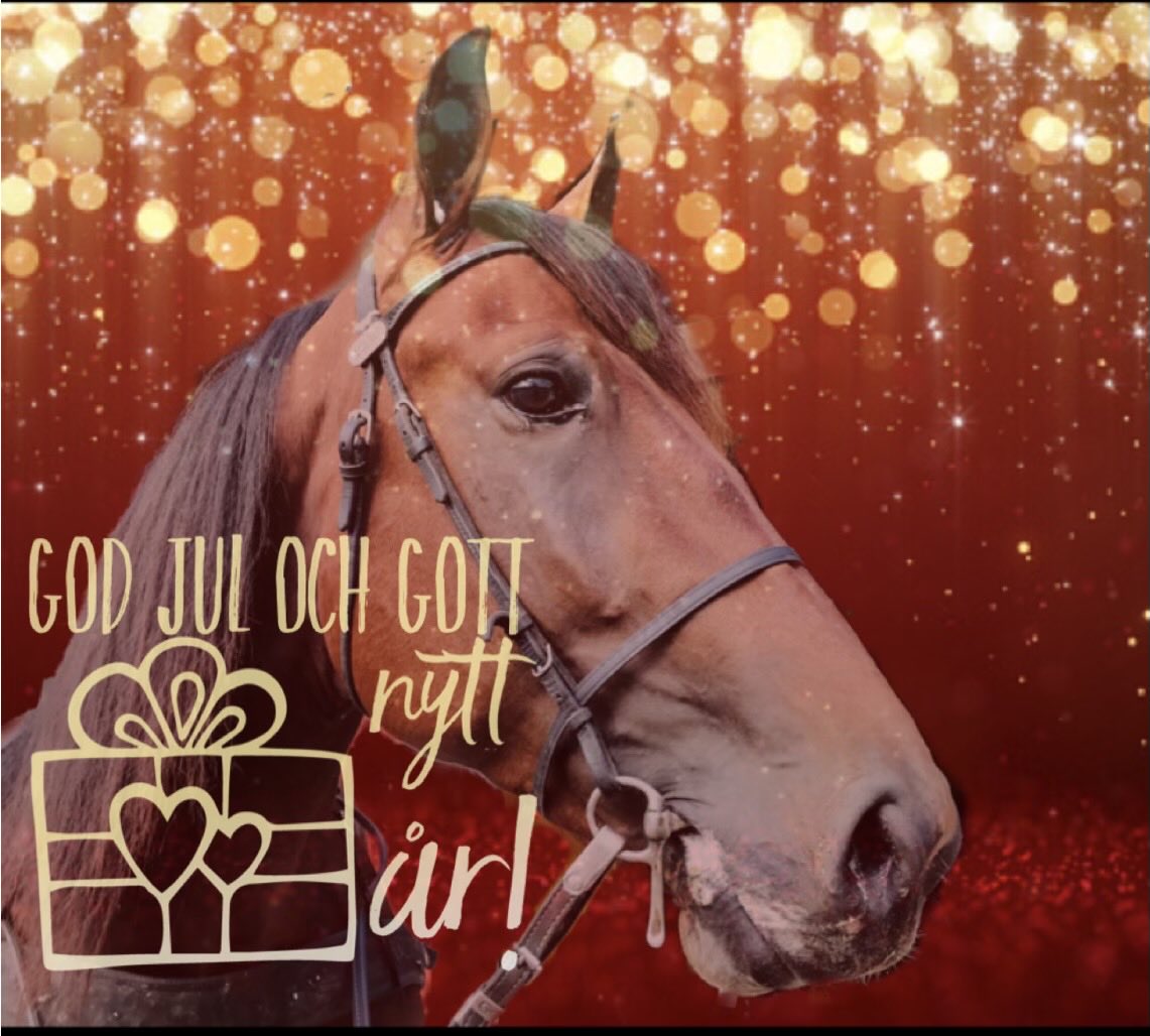 ziggep's tweet image. youtu.be/j9jbdgZidu8