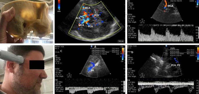 Mikel Shea Ehntholt tweet media