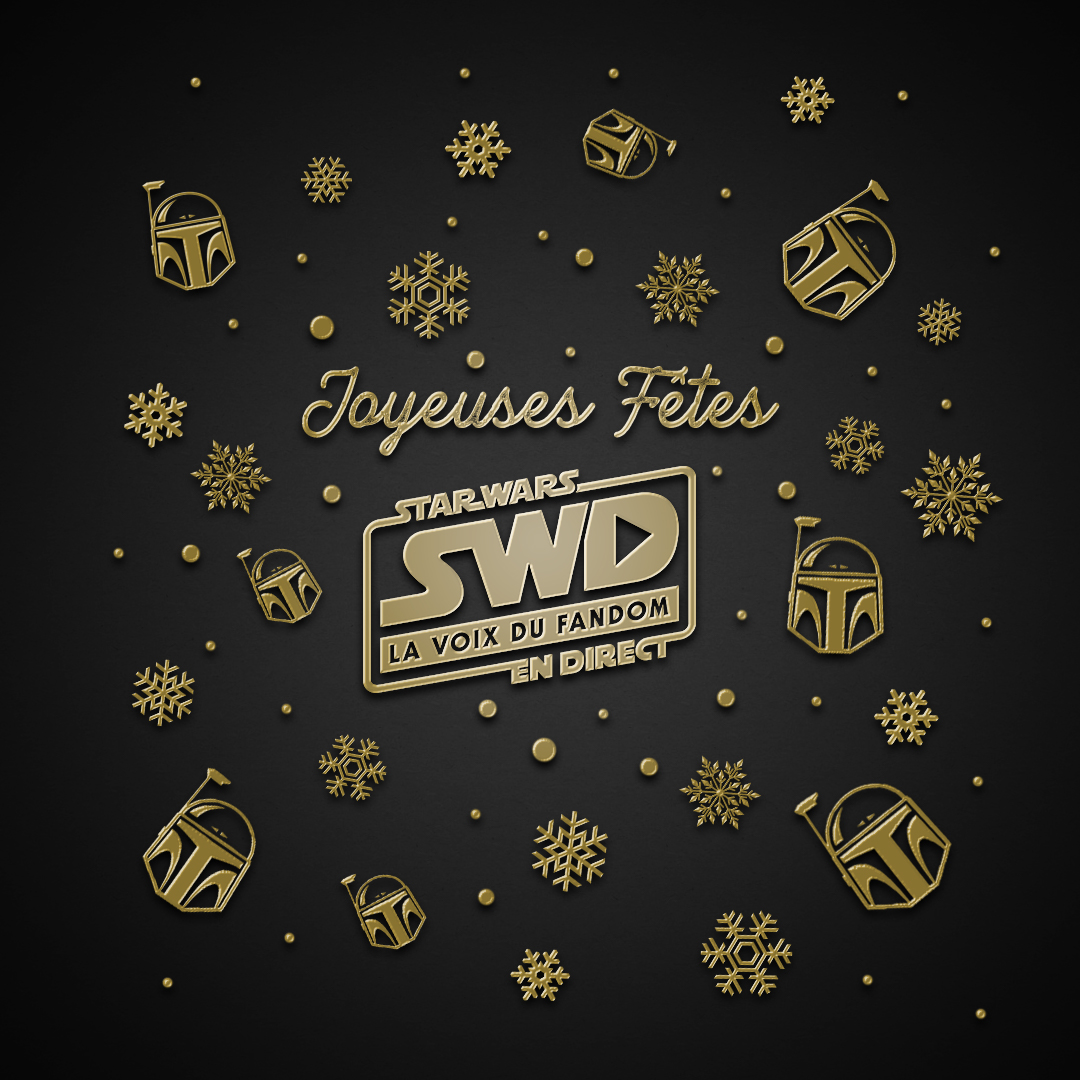 ✨Toute l'équipe de SWD vous souhaite de Joyeuses Fêtes! 🎄🎁 Soyez prudent et profitez de cette pause pour prendre soins de vous et de vos proches.❤️🙂