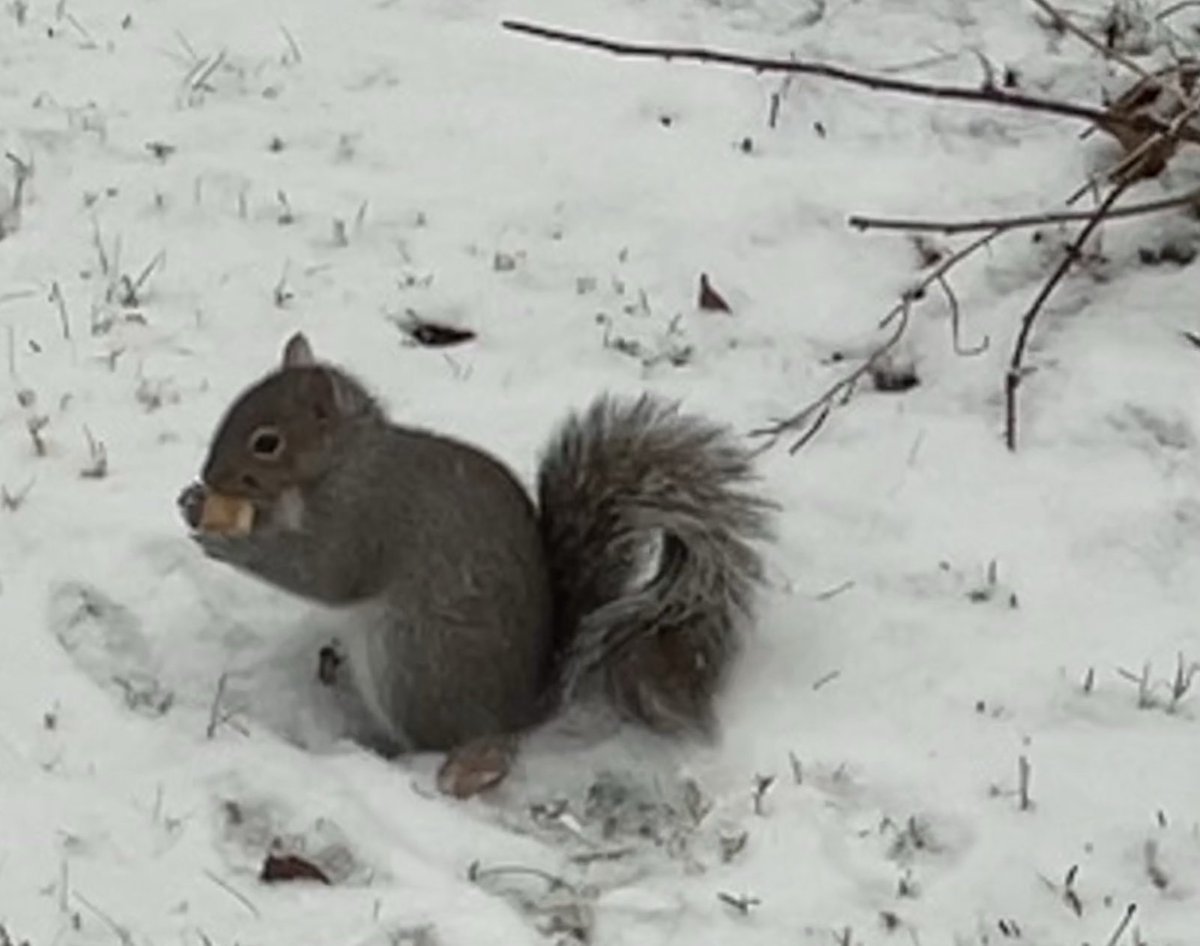 Beth Lambert tweet media