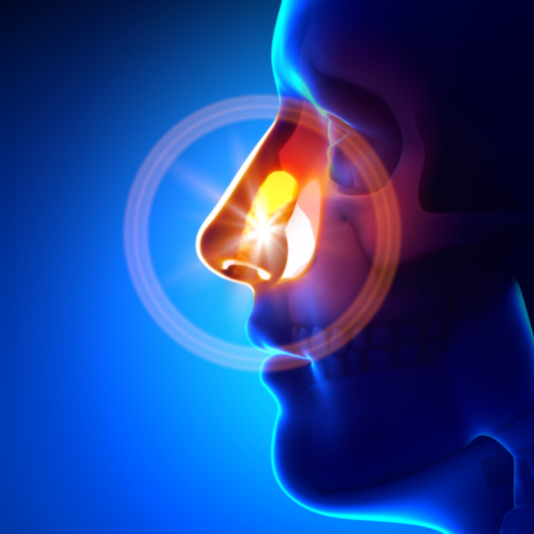 UshaDiamonds's tweet photo. Sinusitis is caused by a virus, bacteria, or fungus that swells and blocks the sinuses. 
https://t.co/ciFaKmMVxT https://t.co/VjqW7rd2X0