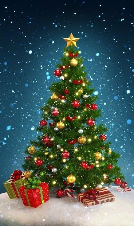 YoKGamar's tweet photo. Christmas would be incomplete without the presence of family and friends. You are all responsible for making Christmas as meaning and wonderful. Merry Christmas to everyone during pandamic and omicron variant. God bless you all. https://t.co/m3lMymxW22