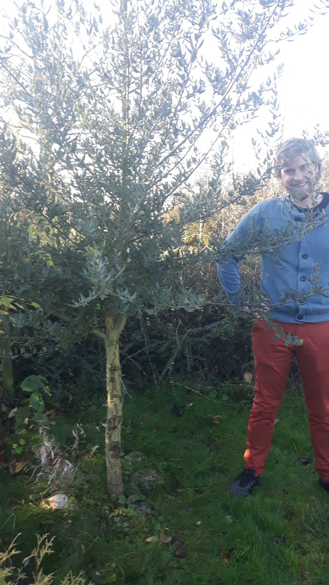 Pro Suber tweet media