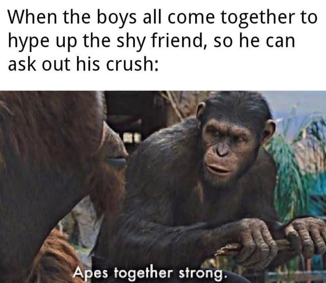 WholesomeMemes tweet media