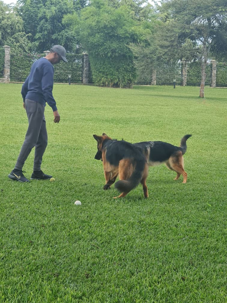 My Family &amp; I wish You All a Very Happy Festive Season! 
Got a good start to my own....!!
Love them..