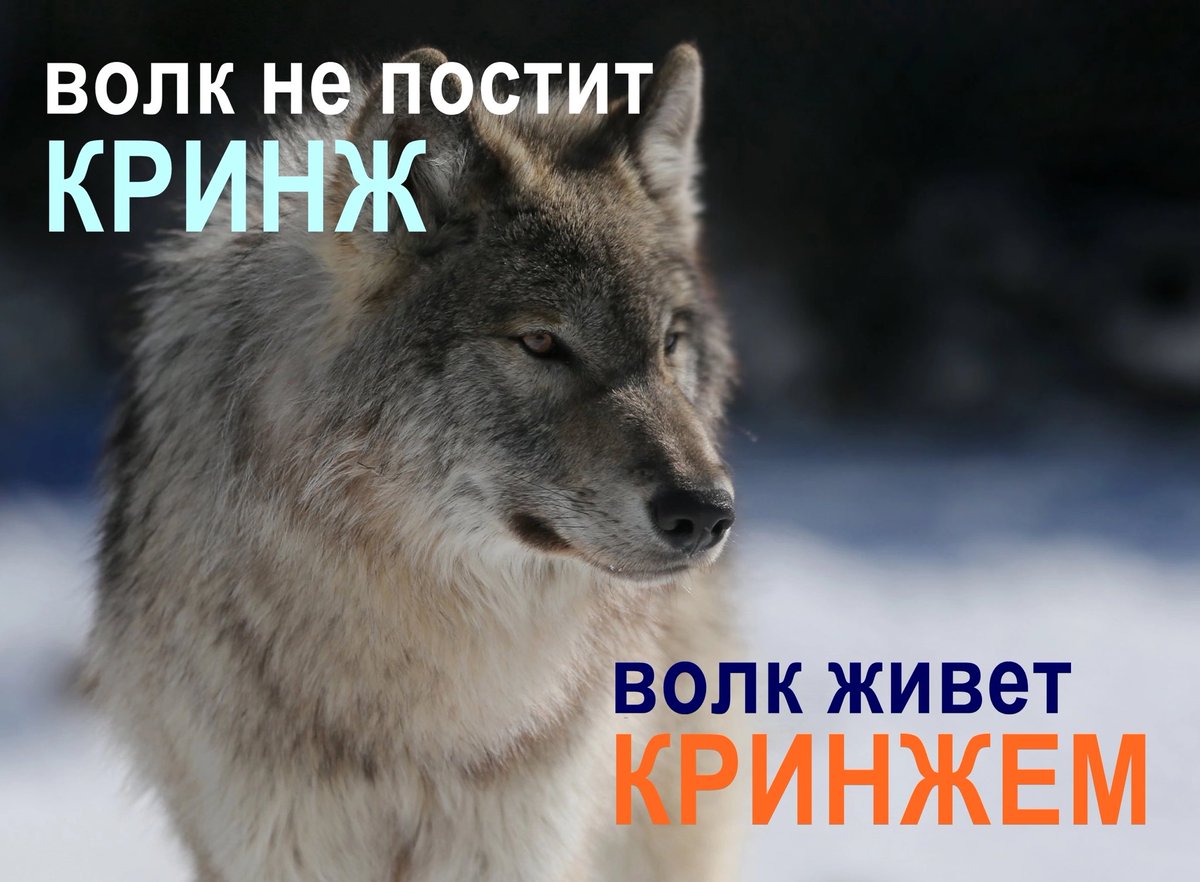 моя жизнь буквально этот мем