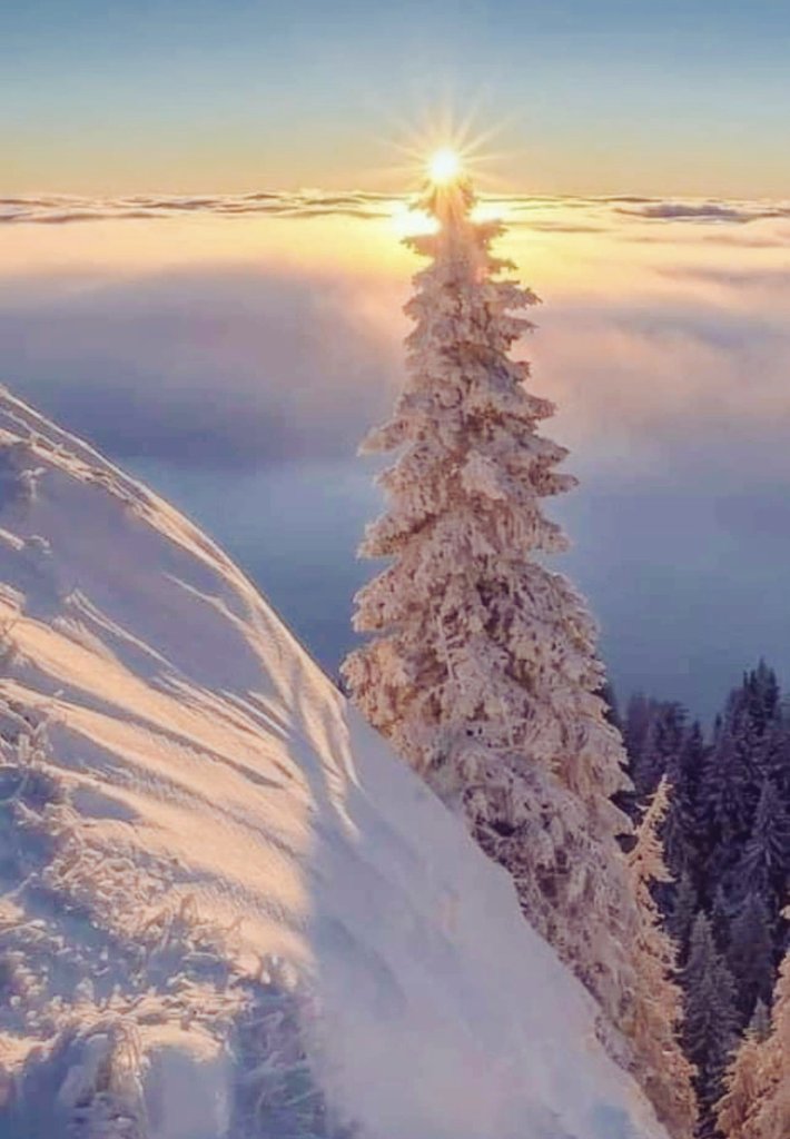 Arien (@actualarien) on Twitter photo 