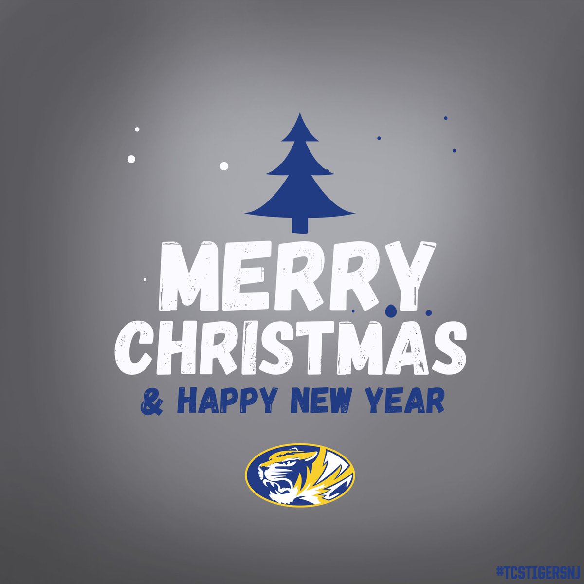 FROM OUR TIMOTHY FAMILY TO YOURS!
#tcstigersnj #tcs #merrychristmas #happynewyear #basketball #cheerleeding