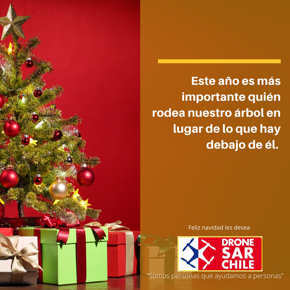 DroneSAR Chile (@dronesarchile) on Twitter photo 