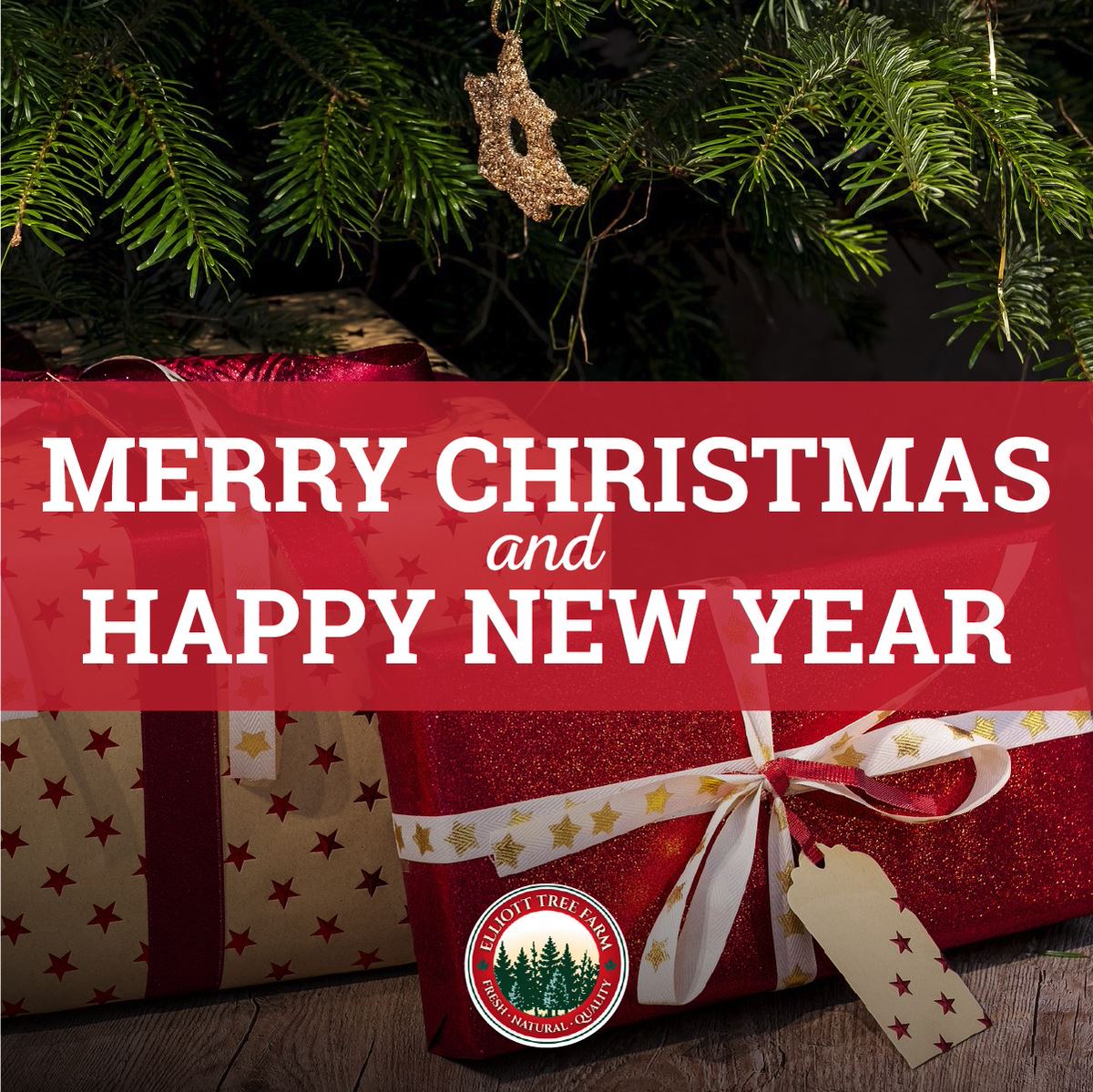 ElliottTreeFarm's tweet image. Merry Christmas &amp;amp; Happy Holidays from the team at @ElliottTreeFarm 🎄 #ElliottTreeFarm #MerryChristmas #HappyNewYear #2022
