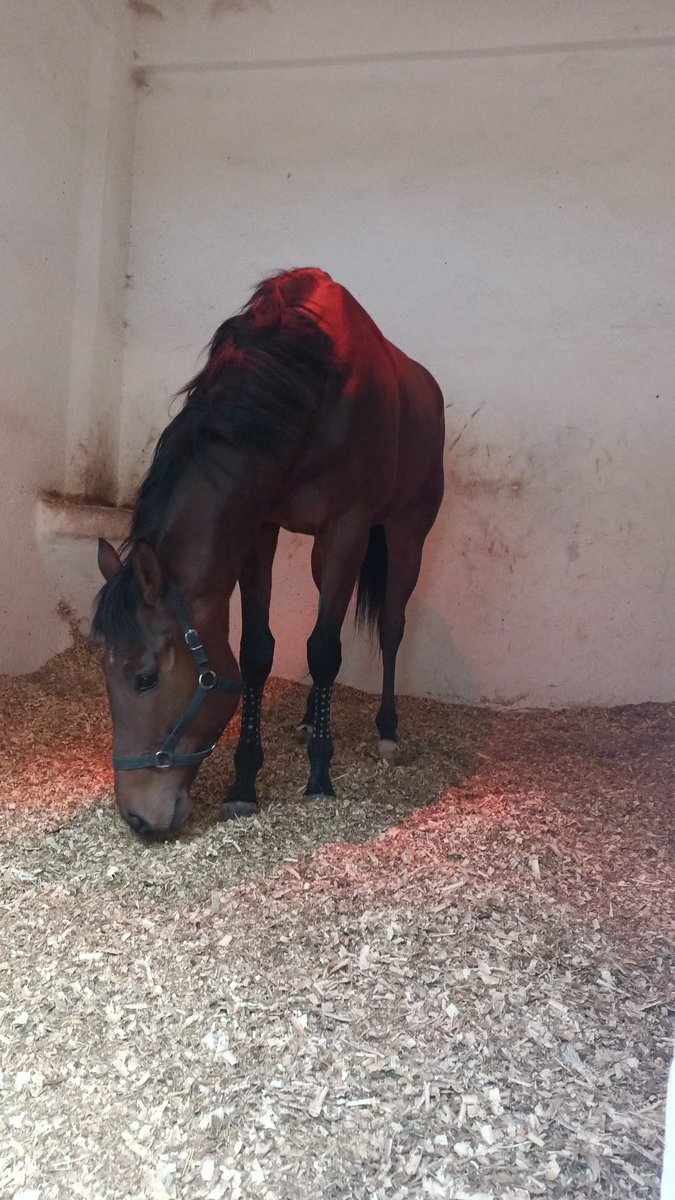 Bu günde güzel oğlum #springattack çok yakında , eskisinden daha iyi şekilde sahalarda olacak. ❤️🧿💪🙏

<a href="/KURALSIZ94/">Santoroni</a> <a href="/ErayKoktay/">Eray Koktay</a> <a href="/sekinyank/">seçkin yanık</a> @Yusuftrustable