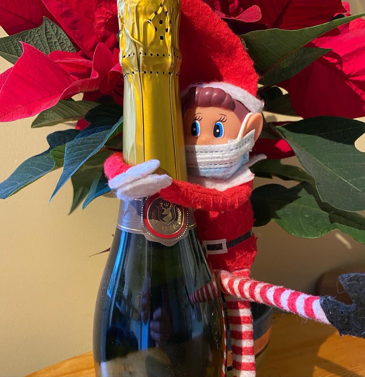 BakewellEquine's tweet photo. We would like to wish all our clients a Merry Christmas 🎄🎅🏻

That’s it from Bakewelf for this year 👋

He’s had a busy month with us at both the equine clinic and the small animal practice 🐴🐶

He’s now off to hide until next year 😅

#bakewelf #elfontheshelf #bakewellequine https://t.co/HXH7PaKSK2