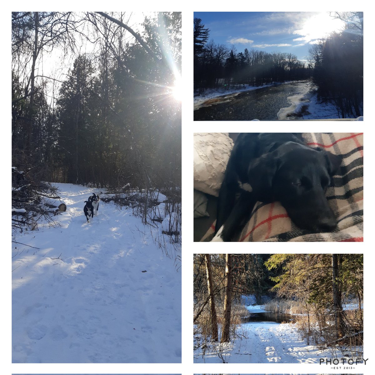 smogaOttawa's tweet photo. Snapshots from a week off. I hope everyone has been able to relax and recharge leading into Christmas!
#ocsbAtHome #ocsbAdvent #freshair #ChristmasEve https://t.co/4SaQbdlmk4
