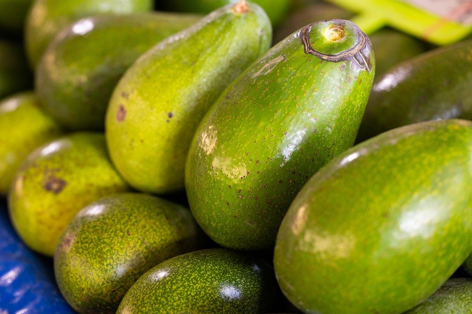 HelloFreshUg1's tweet photo. Tag an avocado 🥑 lover!
To order some avocados 🥑, Visit https://t.co/wV1jyWEGIS for the best https://t.co/G7V5ciWD4o