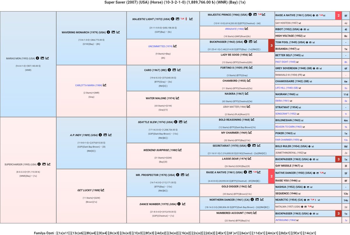 Super Saver ile Hasafet'in pedigrilerinde, #Polynesian etkisinin ortak olduğunu biliyor muydunuz?
Super Saver'in aygır hattı ile 2.annesinin baba hattındaki Native Dancer by Polynesian, Hasafet'in 2.annesinin baba hattı ile babası Youmzain'nin kısrak babası hattında bulunmaktadır