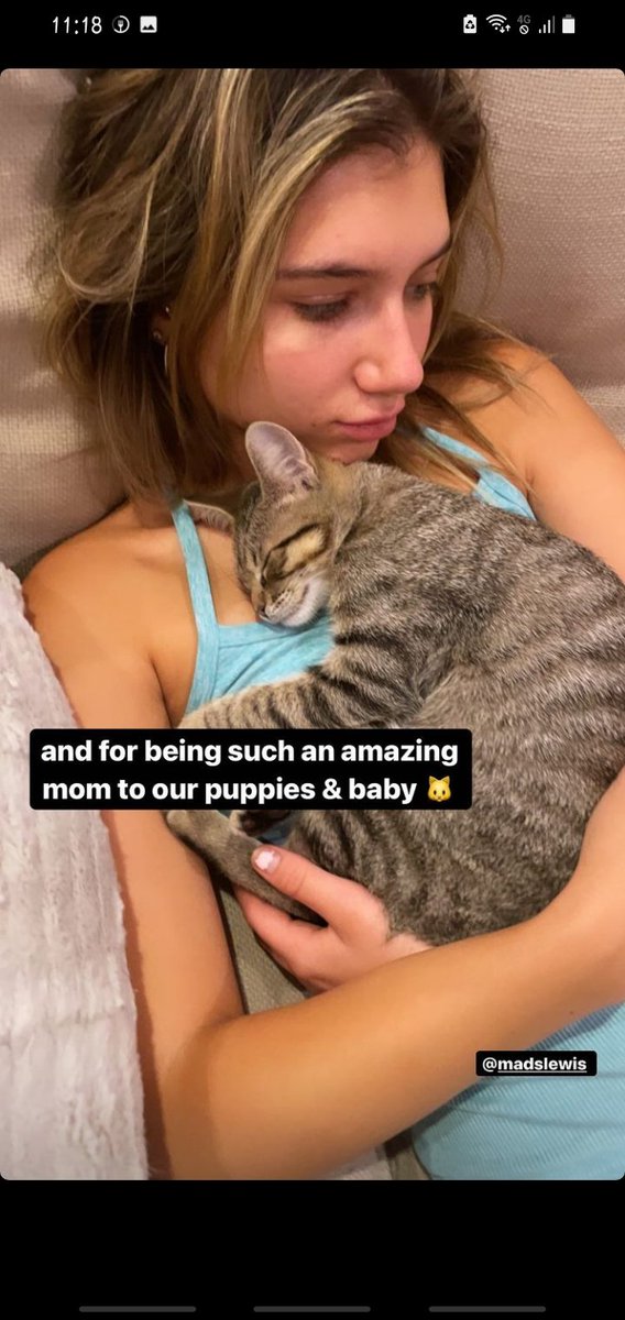 SevrynBrasil's tweet photo. 📱| Chris (@sevryn) via Instagram Stories

🇧🇷: E por seres uma mãe incrível para os nossos filhotes bebês 🐱
@mads_lewis https://t.co/N7HoWycrNB