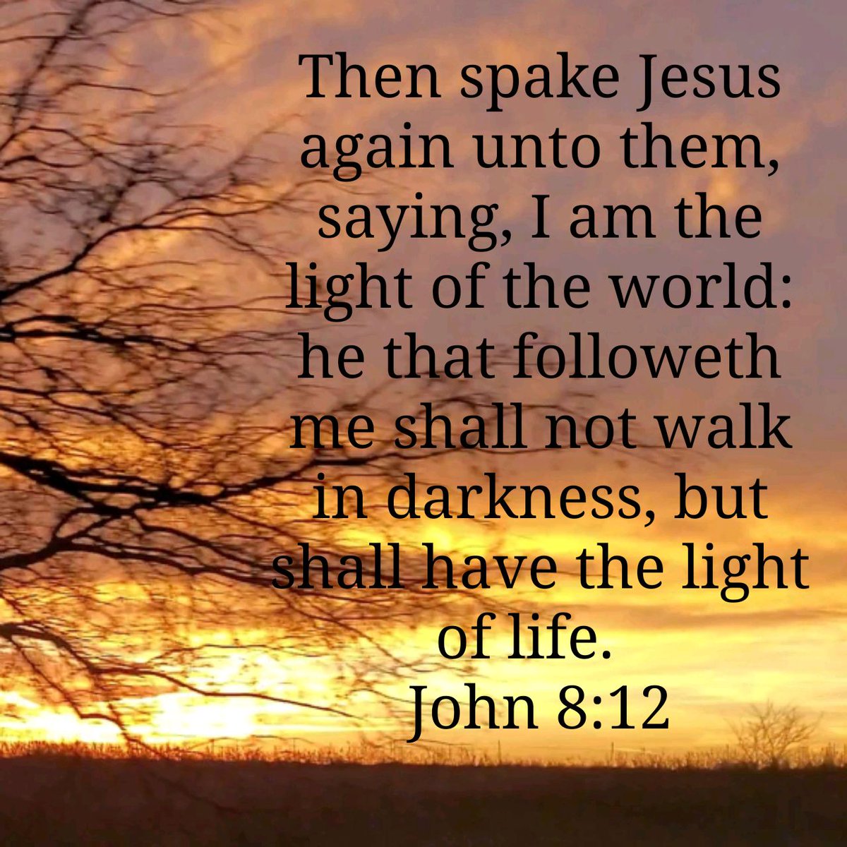 Then spake Jesus again unto them, saying, I am the light of the world: he that followeth me shall not walk in darkness, but shall have the light of life.
John 8:12 KJV

bible.com/bible/1/jhn.8.…