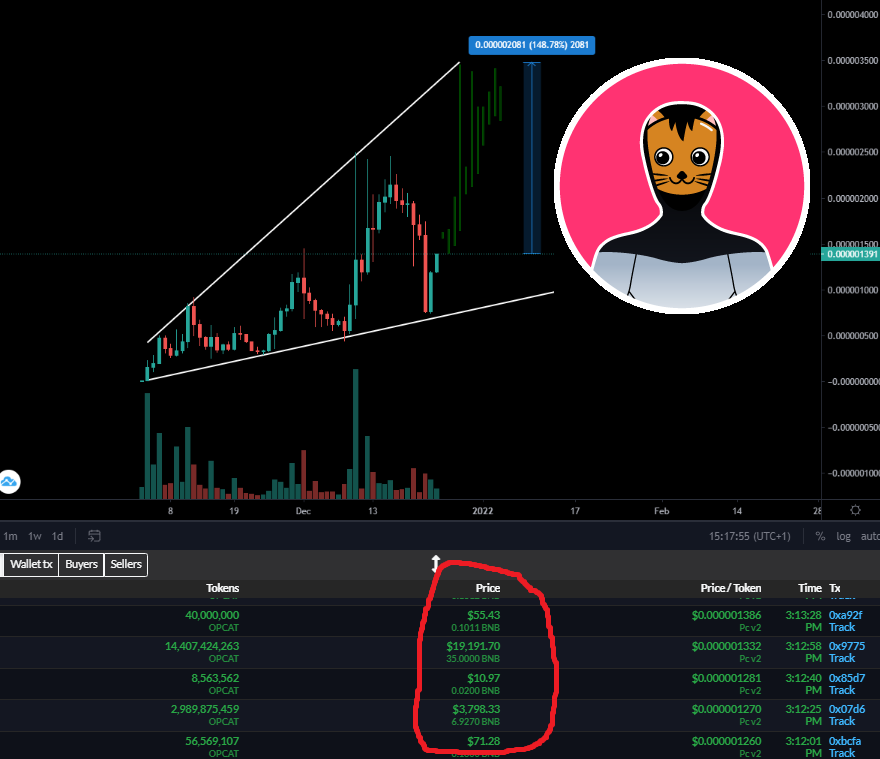 GemMinerXBT's tweet image. When the sellers fomo back in straight after the release, you just know it is a massive success 👀 

Been telling you for weeks, but now you can use their Swap and see for yourself...

And it's MILES AHEAD of $Cake &amp;amp; $Uni 🚀

FULL SEND $OPCAT 

$kiba #safemoon $gm #shinja #cheems