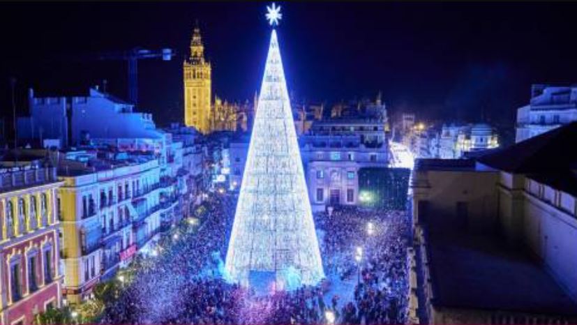 SOSterritorios's tweet photo. Al @Ayto_Sevilla los únicos #Árboles que le gustan son los efímeros #Navideños de estructura metálica y lucecitas de colores o con #CéspedArtificial🎄
Este año han instalado el más alto de #Europa, es su concepto de #ÁrbolSingular.
Mientras, los verdaderos #Árboles son #Talados‼️ https://t.co/UvPv9Cjm1C