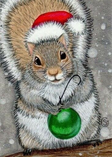 It’s #ChristmasEve2021❣️Wishing you & yours a warm & fuzzy Holiday! #ChristmasNeedsSquirrels #Squirrelscrolling