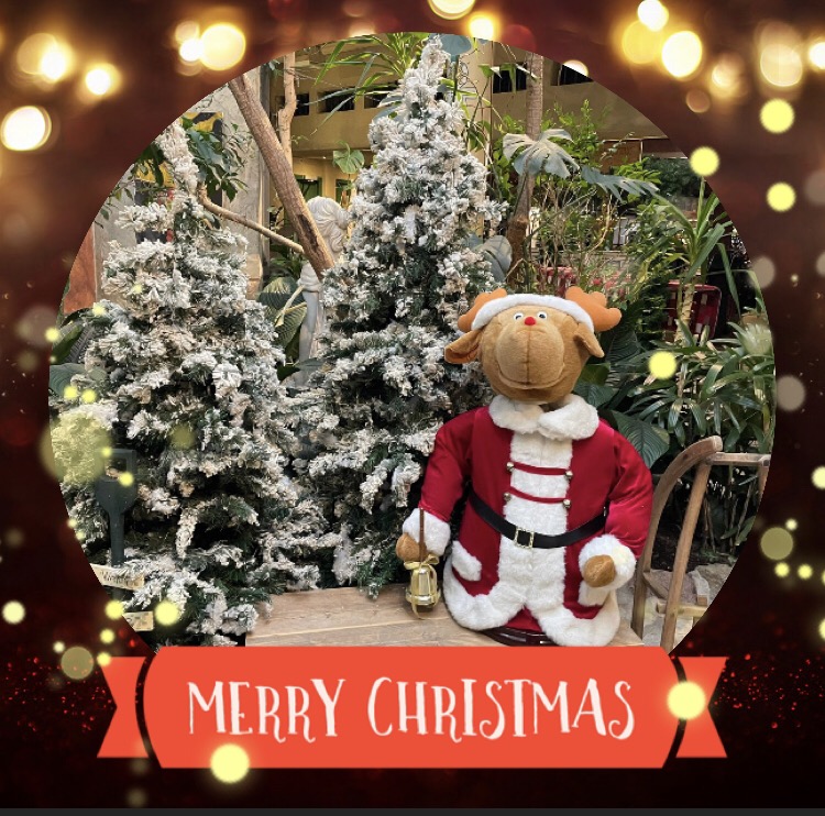 Het Heijderbos (@cphetheijderbos) on Twitter photo 