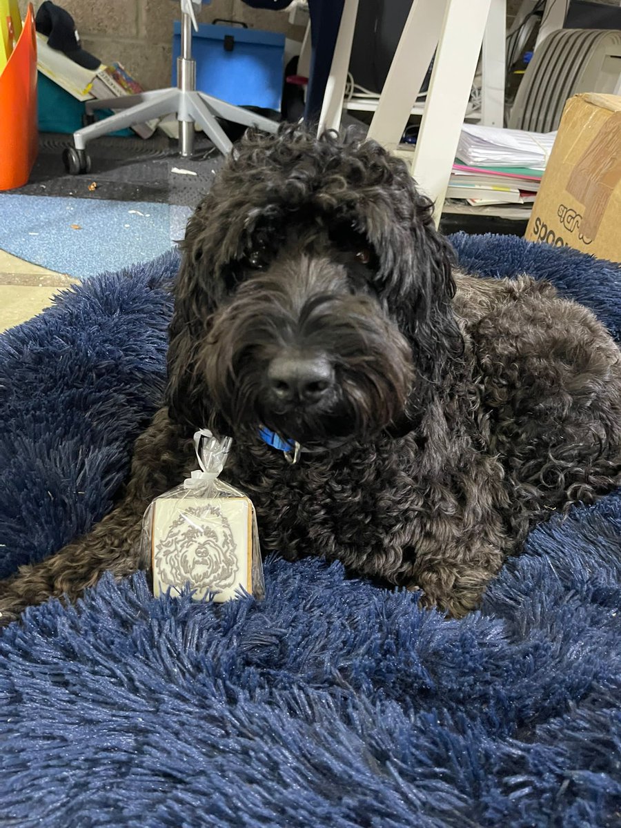 Sign_IT_UK's tweet image. All of us here at Sign It would like to wish you all a fantastic Christmas and thank you all for your support over the past months! 🎄🎅🏻⛄️

#signmaker #signmakers #outdoorsigns #newforestbusiness #signdesign #signshop #businesssigns #southamptonbusiness #lymingtonbusiness