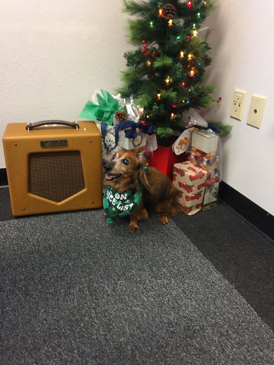ValveTrainAmps's tweet photo. The Shop Dog sez Happy Holidays from Rocky and All of us at ValveTrain Amps https://t.co/gCavaYJei8