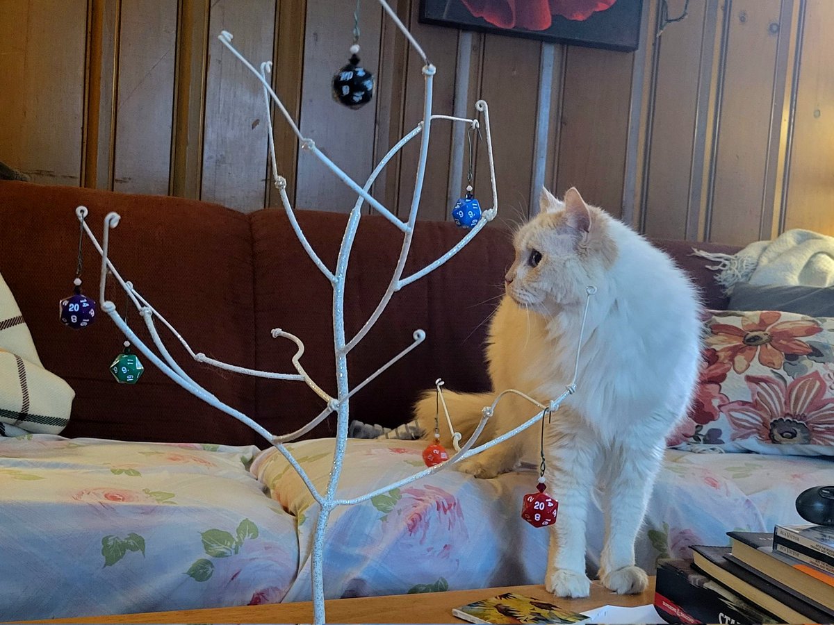 jaydeeraines's tweet image. Merry Critmas! #critmas #CatsOfTwitter