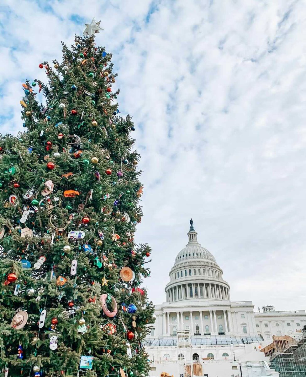 Happy Holidays from all of us at Novel! Wishing you and your loved ones a fun and relaxing day of Yuletide joy. ❤️
📸 IG: districtbymeg