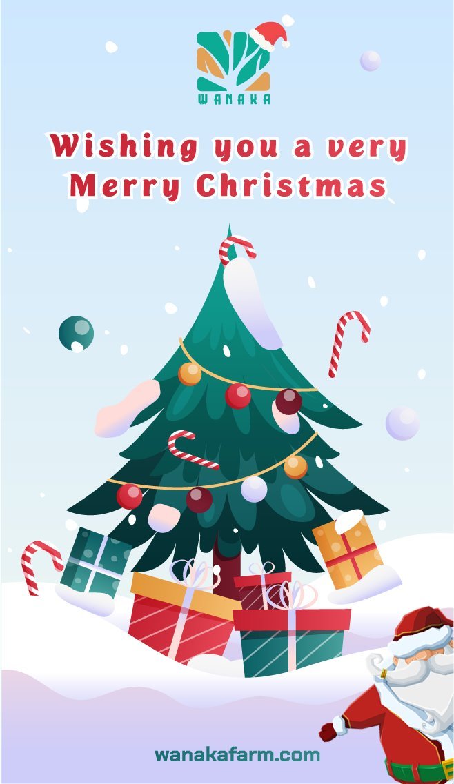 Wanaka_Farm's tweet image. We wish you a very Merry Christmas. Every farmer will receive a little present from @Wanaka_Farm  in your mailbox in-game. Please go check your mailbox on the 25th (UTC timezone).
