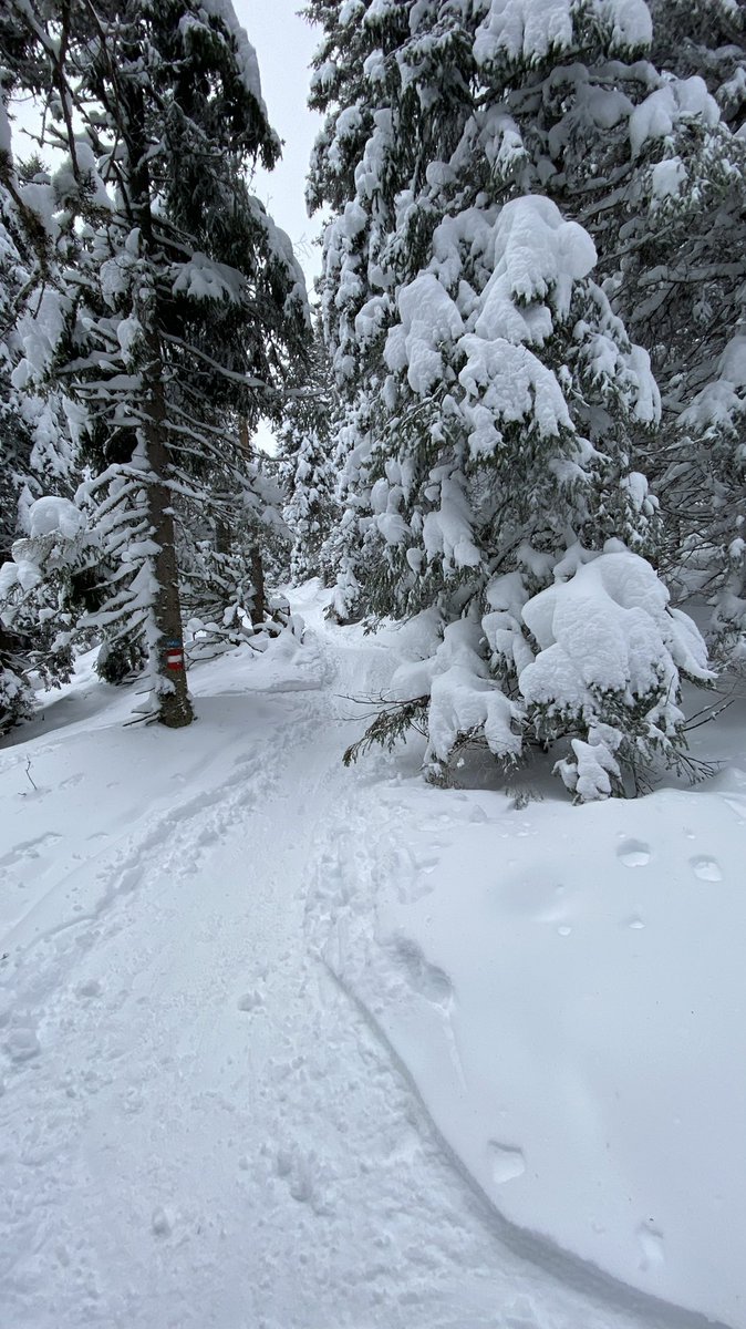Des gesamten Twitteria ein frohes und erholsames Weihnachtsfest!