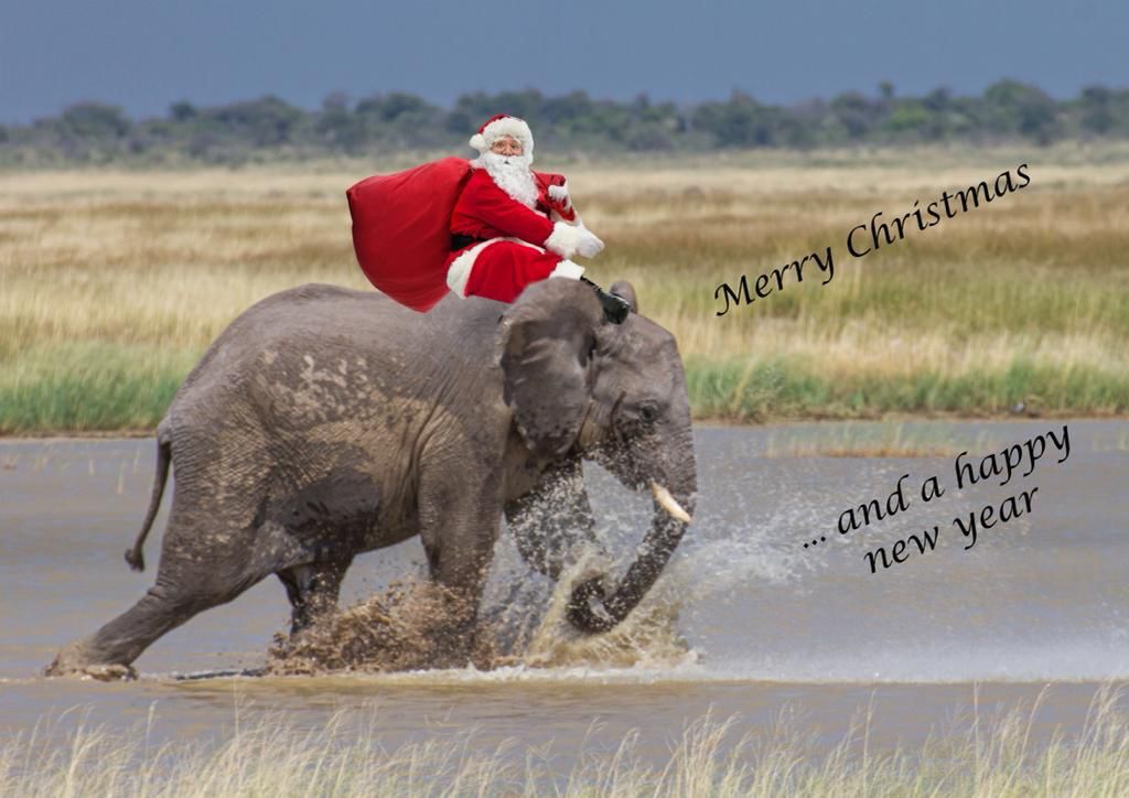 AFRICAN Elijah Ngurare on Twitter