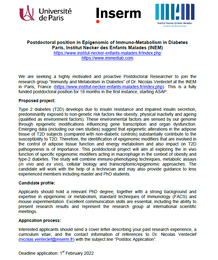 Hi everyone! Christmas has never been so close, so it's time to give you our gift: a postdoctoral position in our Team! #immediab #INEM #PostDoc #Type2Diabetes #Motivation