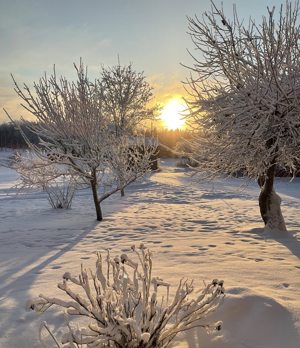 Rauhallista joulua kaikille! Voikaa hyvin.