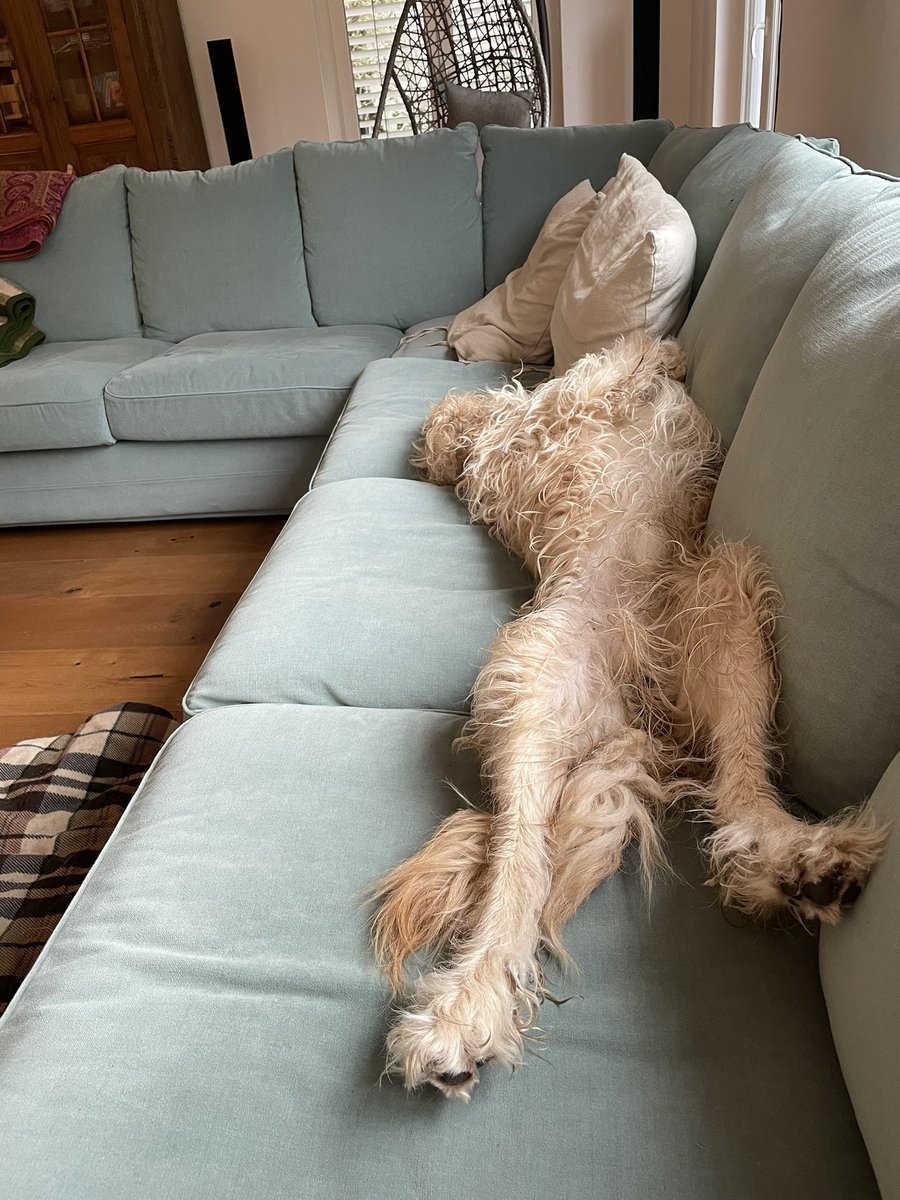 mbroecki's tweet photo. @ardenthistorian #ChillingMode https://t.co/gLQfS73LaJ