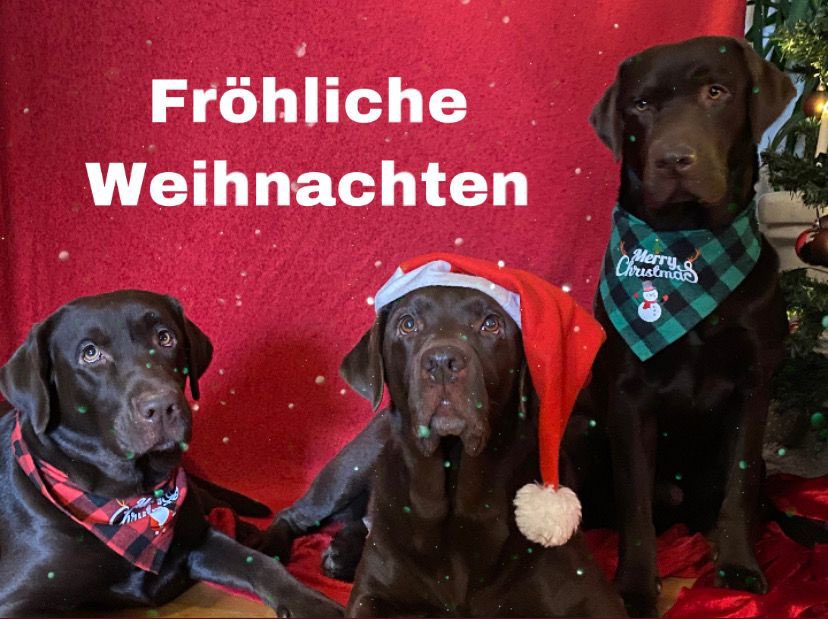 dermitdenscher1's tweet photo. @STYLERZ97 Dir auch !!! Gerade deinen Clip gesehen https://t.co/OWMyOZxBV5