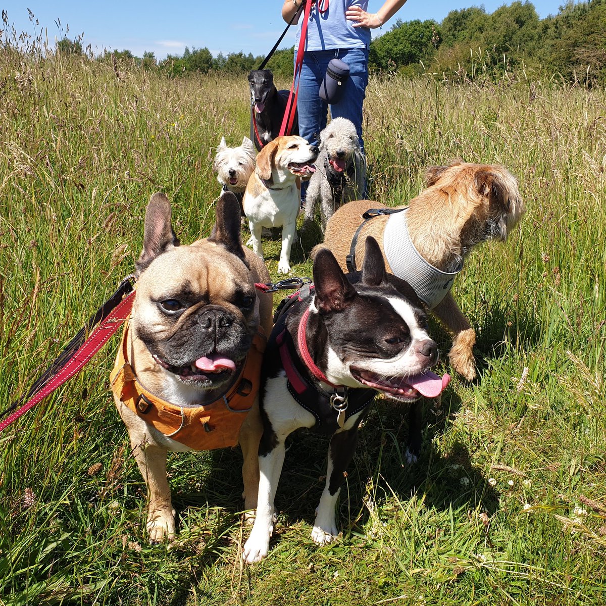 We would like to wish you all a very Merry Christmas and thank you for your wonderful support throughout 2021. We appreciate you all more than we could ever say. Darrin and Julie x