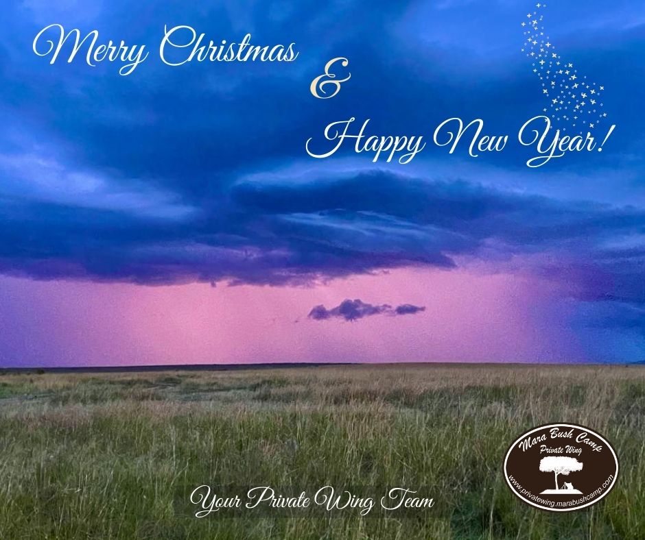 bush_wing's tweet photo. Dear Guests !
Thank you for your continued support and your wonderful presence this year!
https://t.co/TO0TqZZesg
#PrivateWing #Marabushcamp #maasaimara #SunworldSafaris #wildlifephotography https://t.co/mLeHNtZ1uu