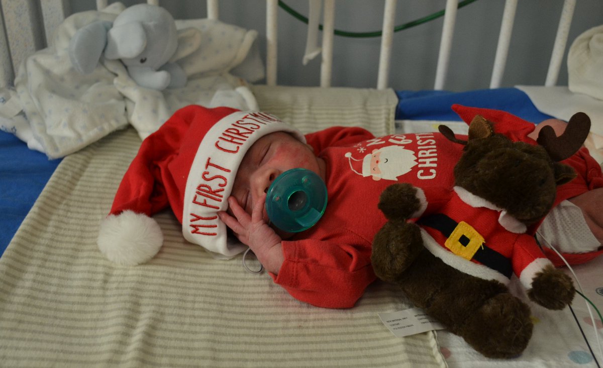 Kari Beal tweet media