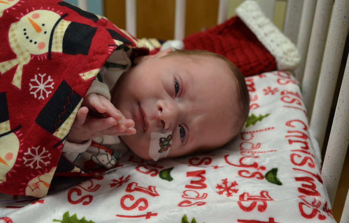 Kari Beal tweet media