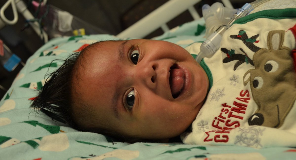 Kari Beal tweet media