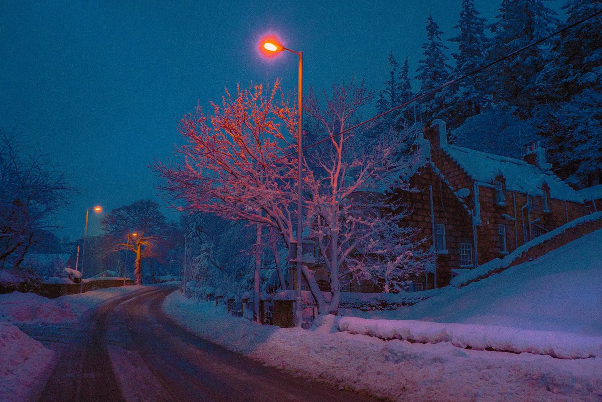 IWanderWorlds's tweet photo. im dreaming of a blue christmas https://t.co/FijAnutICj