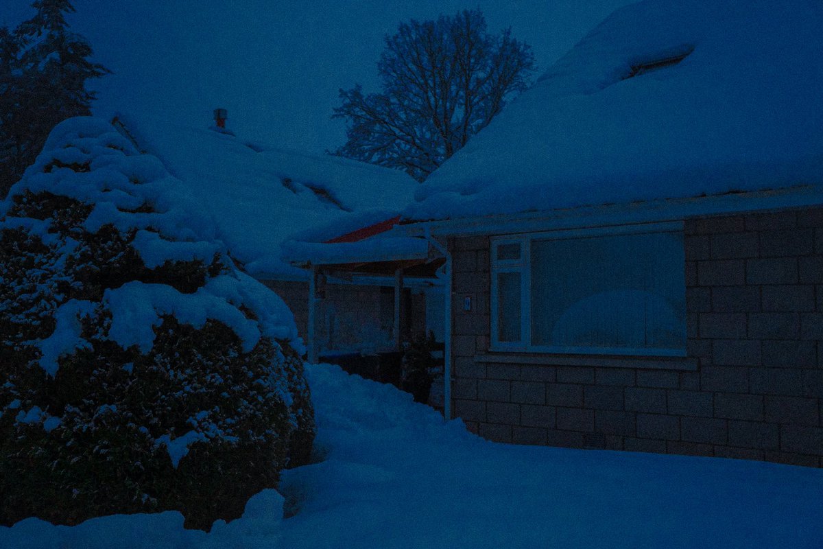 IWanderWorlds's tweet photo. im dreaming of a blue christmas https://t.co/FijAnutICj