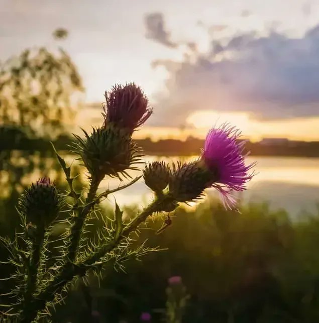 Angela Ackerman (@angelaackerman) on Twitter photo How Symbolism Adds Depth to a Story - WRITERS HELPING WRITERSยฎ buff.ly/3EdML5R #writing #amwriting How Symbolism Adds Depth to a Story - WRITERS HELPING WRITERSยฎ buff.ly/3EdML5R #writing #amwriting