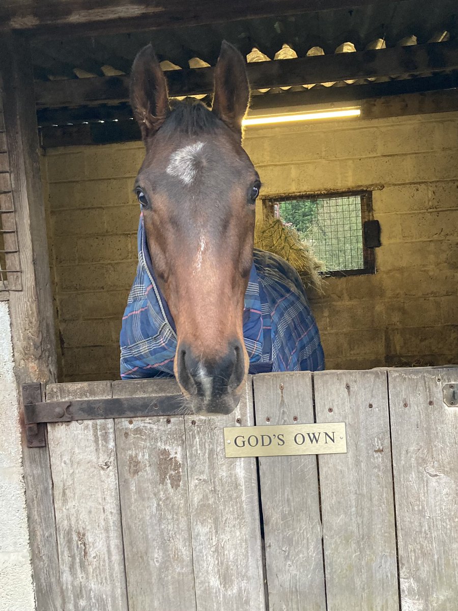 Sherrie Derrick (@derricksherrie) on Twitter photo 