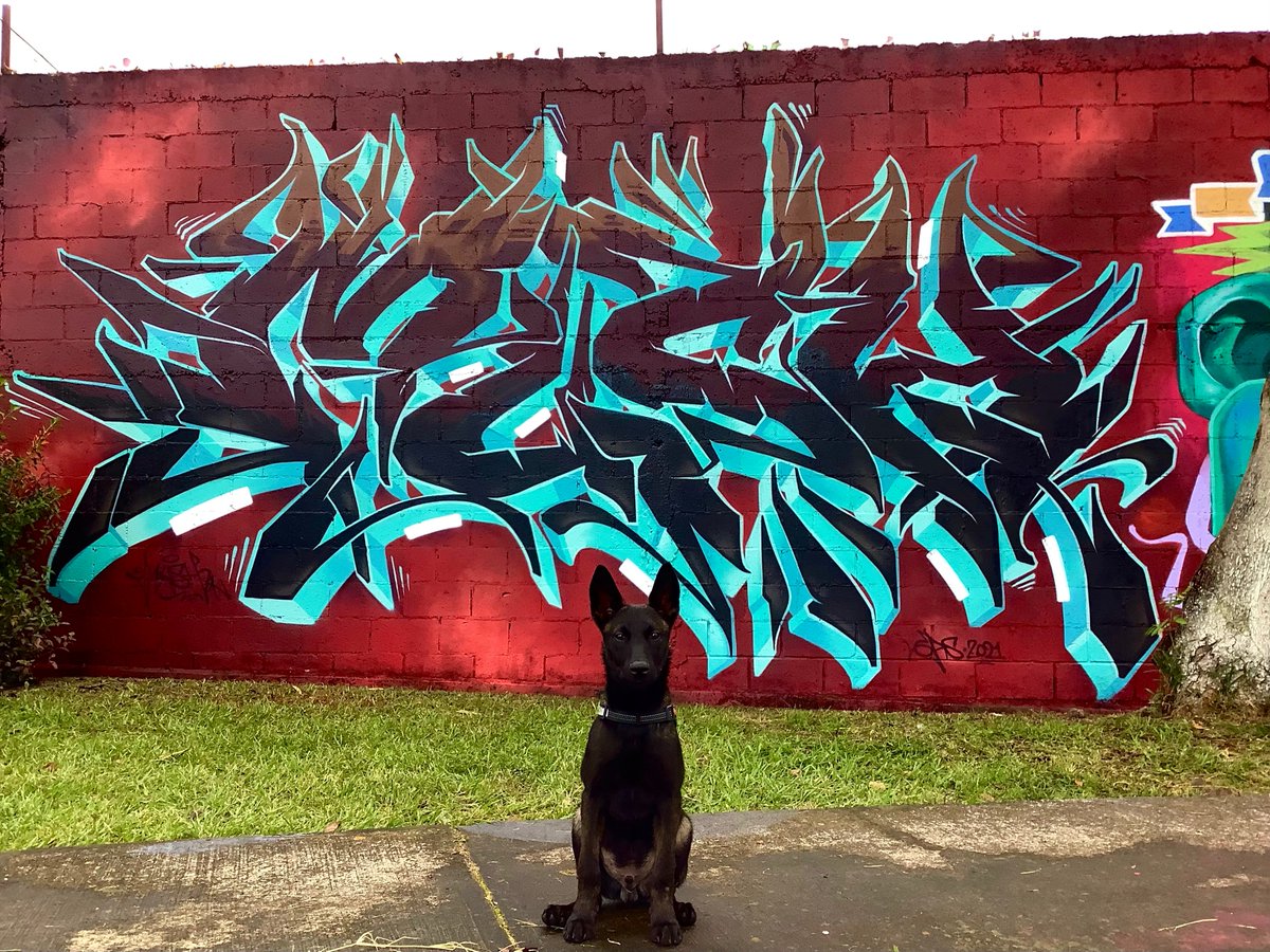 Astro in the wall !!

#costagraff
#graffiticostarica
#mycrewmydogs
#wildstylelovers