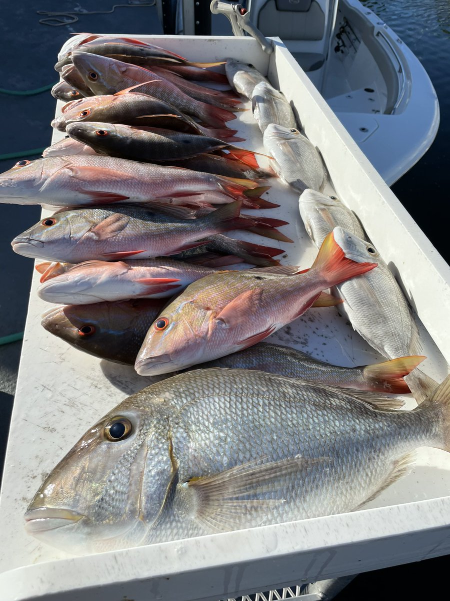DoodySnyder's tweet photo. Tonight’s dinner👍 That’s one big Porgy #GulfSide https://t.co/fyRC2WQcDO