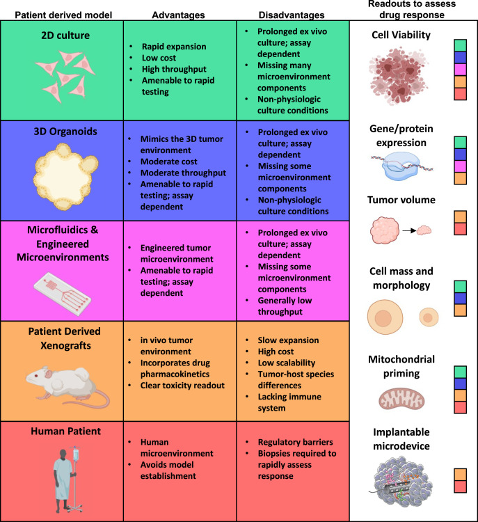 Cancer_Cell's tweet photo. Online Now: Functional precision oncology: Testing tumors with drugs to identify vulnerabilities and novel combinations https://t.co/iXYSXndvLs https://t.co/W7mw2VWjKD