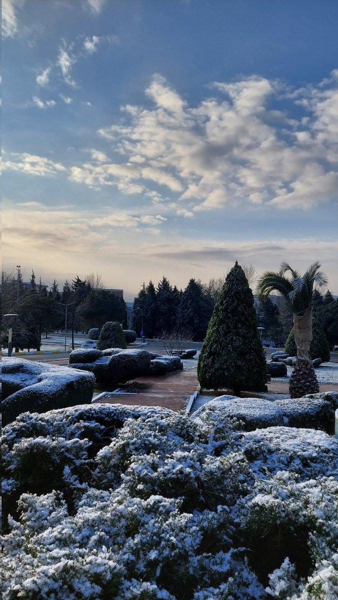 Büşra 🌼 (@upsydaiissy) on Twitter photo 