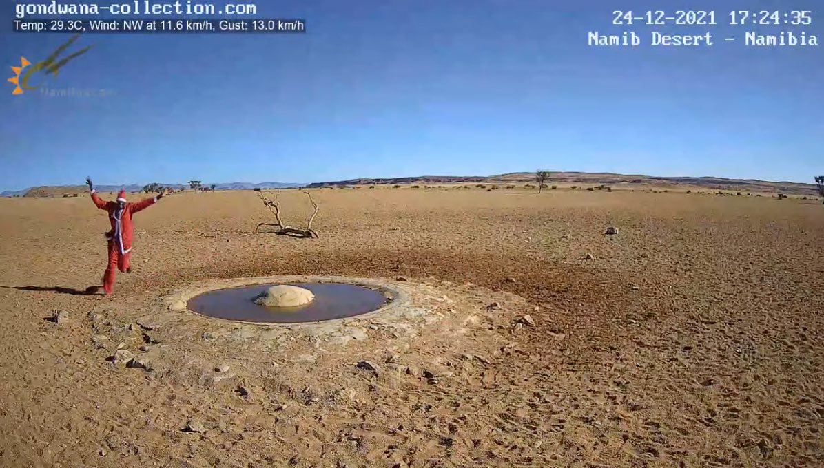 ナミブ砂漠のライブカメラをつけっぱなしにしてたら突然サンタクロースが現れた 水は飲まなかった Togetter